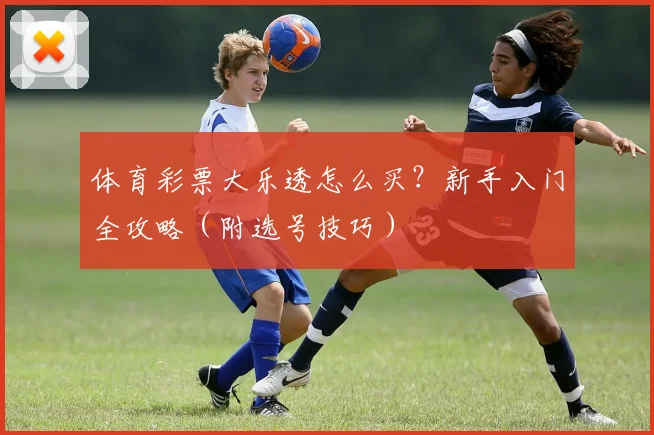 体育彩票大乐透怎么买?新手入门全攻略(附选号技巧)